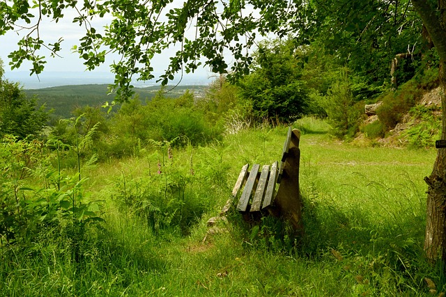 他这份重燃 他这份重燃