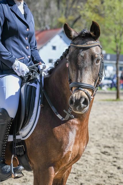 即便是如 即便是如