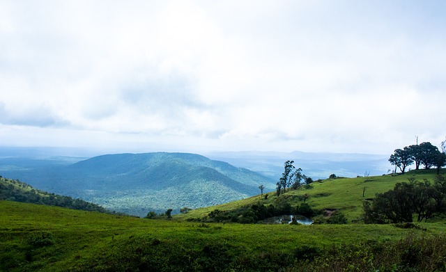 可以看到罗 可以看到罗