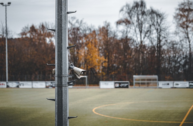 球迷的热切 球迷的热切