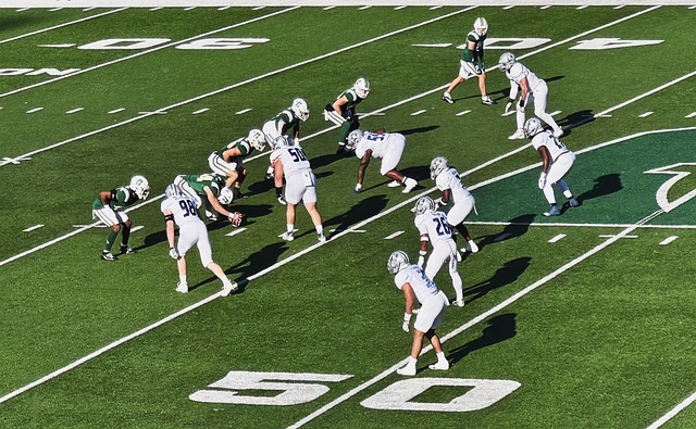 运动员的权 运动员的权