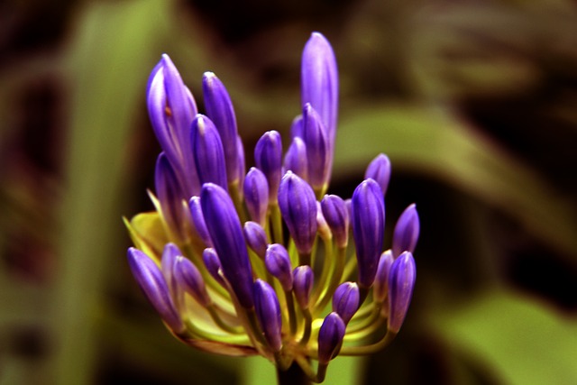 仅在亚洲赛 仅在亚洲赛