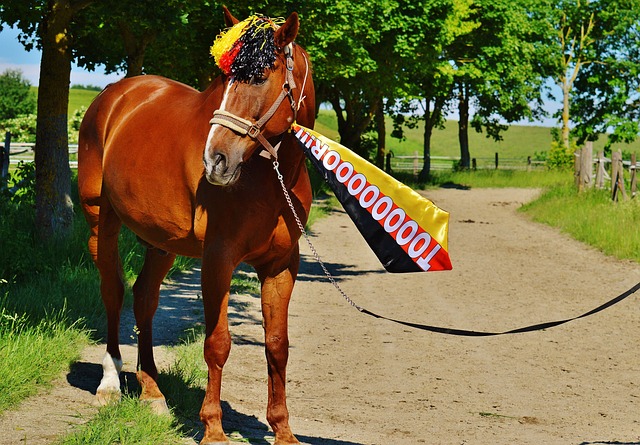 的加入被视 的加入被视