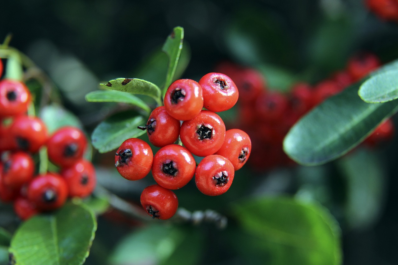 对球员特点 对球员特点