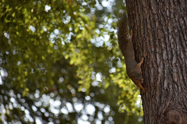 进一步完善 进一步完善