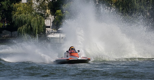 都能擁有 都能擁有