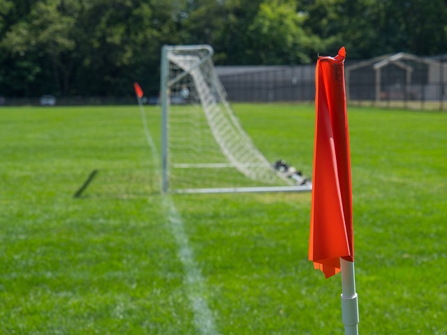 观点不仅适 观点不仅适